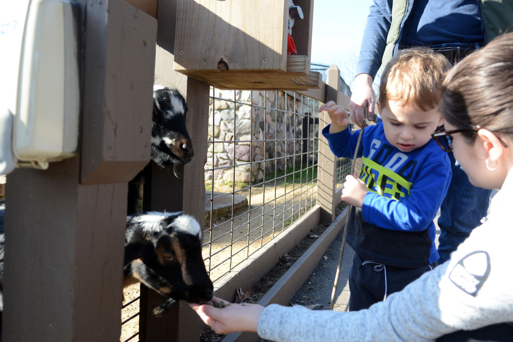 Scenes from Baraboo's Ochsner Park Zoo, Nov. 7, 2020